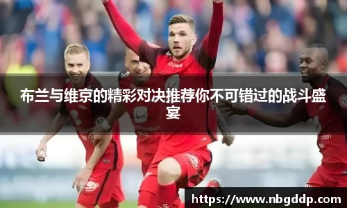 布兰与维京的精彩对决推荐你不可错过的战斗盛宴